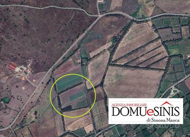 Terreno agricolo milis