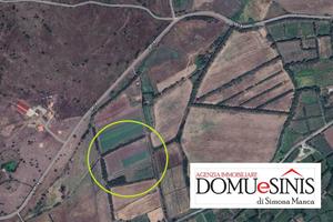 Terreno agricolo milis