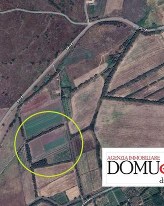 Terreno agricolo milis