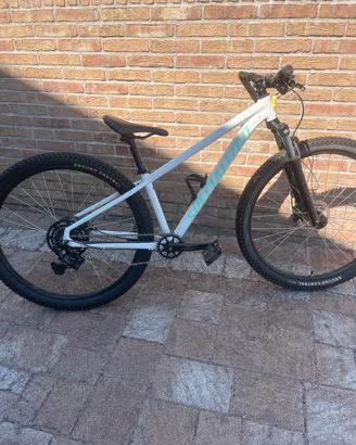 Bici specialized da uomo s