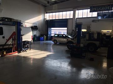 Capannone +attivita'