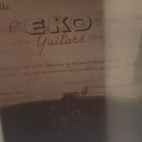 CHITARRA 12 corde EKO