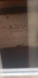 CHITARRA 12 corde EKO