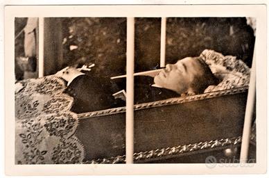 Cartoline militari I guerra Sudtirol Alto Adige