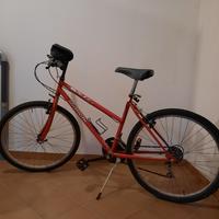 bicicletta mountain bike