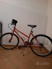 bicicletta mountain bike