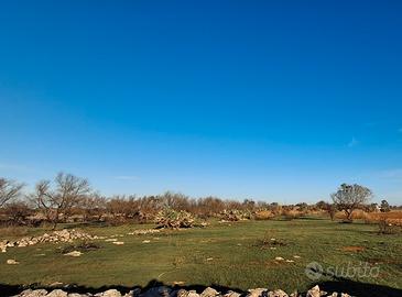 Vendita terreno agricolo