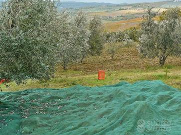 bidoni reti rastrelli per raccolta olive