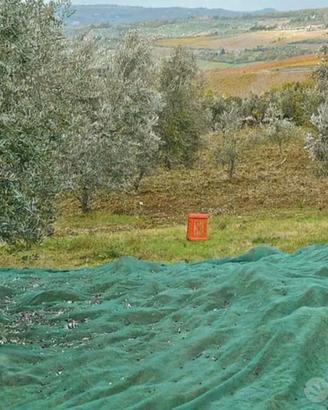 bidoni reti rastrelli per raccolta olive