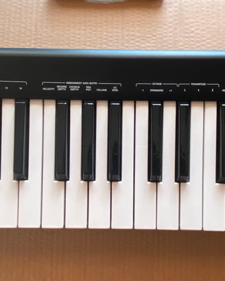 Alesis Q49 (Tastiera Midi)