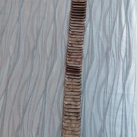 Cintura Satinata