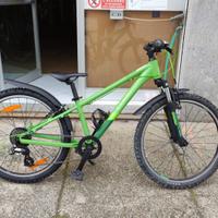 Cube Acid 240 green´n´pine