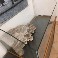 Tutto per tartaruga d'acqua