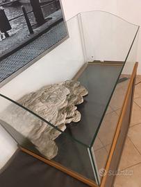 Tutto per tartaruga d'acqua