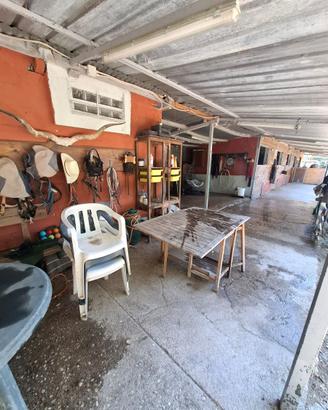 Pensione per cavalli