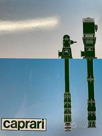 pompa caprari  ad asse verticale
