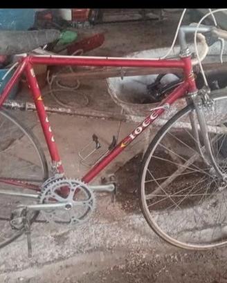bicicletta da corsa ciocc