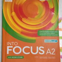 Into Focus A2