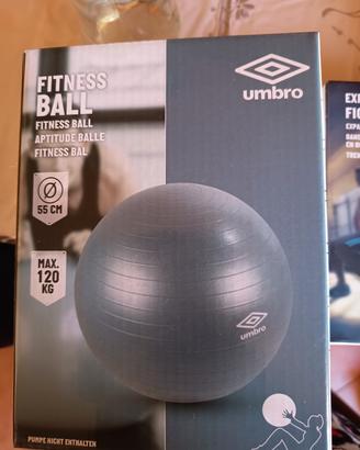 palla yoga/fitness,fitness ball nuova