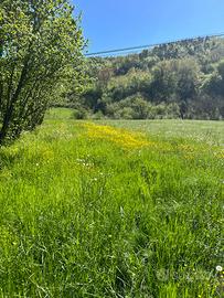 Terreno agricolo localita' Paroldo Cuneo