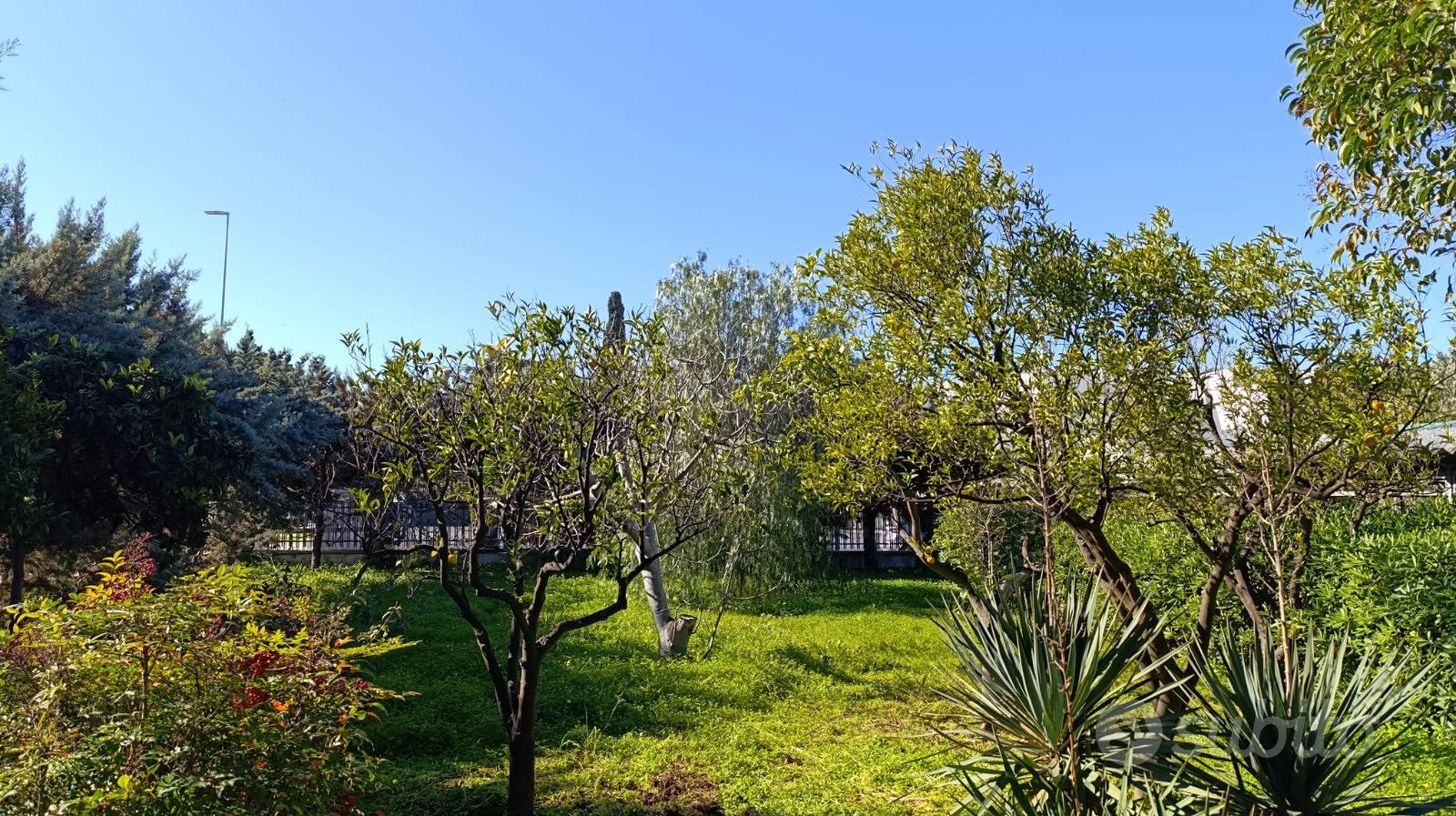 House in Bari, Palese - Vista 3