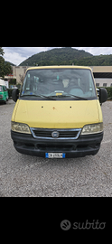 ducato per disabili