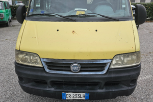 ducato per disabili