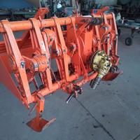 Vangatrice selvatici