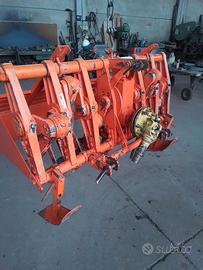 Vangatrice selvatici