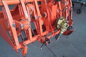 Vangatrice selvatici