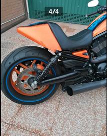 HARLEY VROD