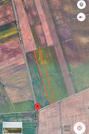 Vendita terreni agricoli