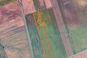 Vendita terreni agricoli