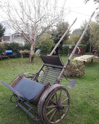 calessino per cavallo