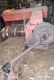 Ballatrice L. Sgorbati