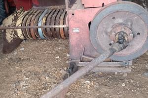 Ballatrice L. Sgorbati