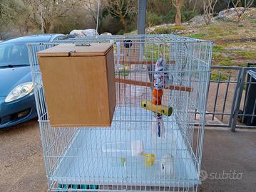 gabbia per uccelli 