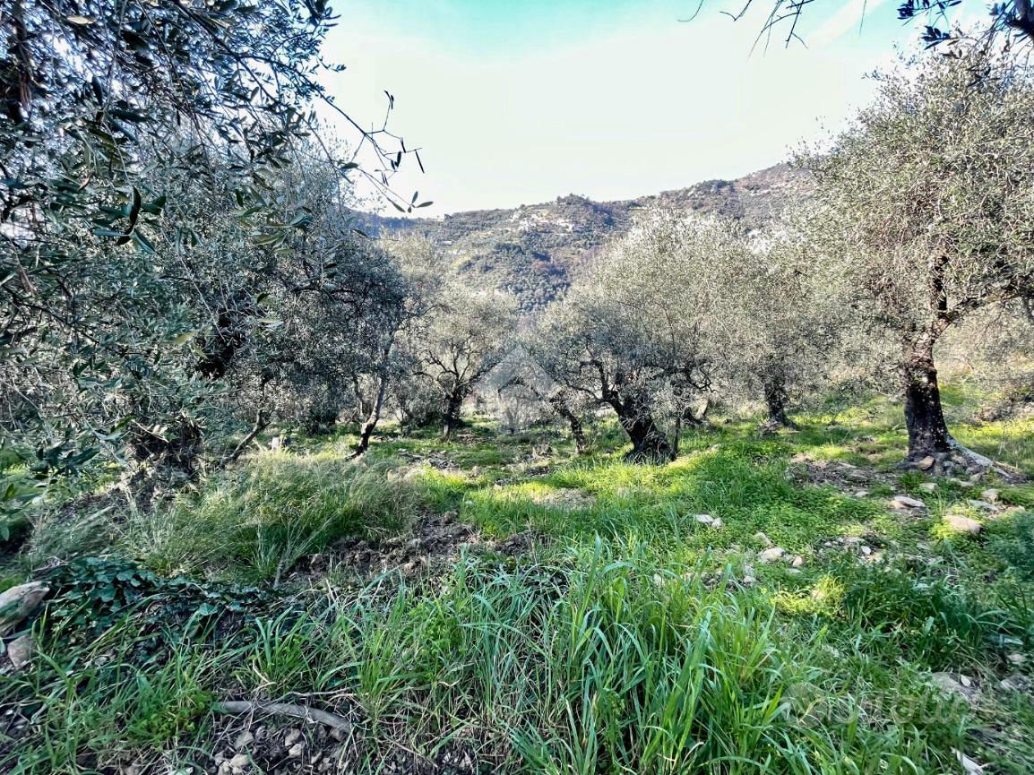 TER. AGRICOLO A SANREMO - Vista 4