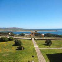 La Pelosa splendida vista - La Pergola 713