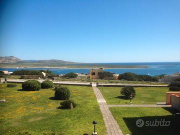 La Pelosa splendida vista - La Pergola 713