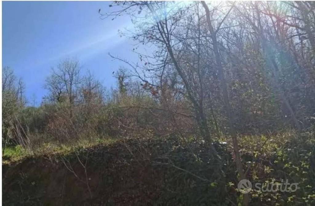 Immobile in asta di 12300 m² a Cortona - Vista 2
