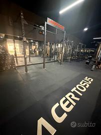 Rig Lacertosus a muro con scritta