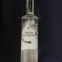 bottiglia vodka