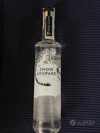 bottiglia vodka