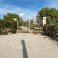 Villa vista mare con uliveto