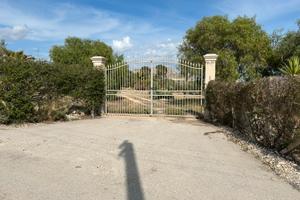 Villa vista mare con uliveto