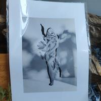 poster da collezione 