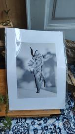 poster da collezione 