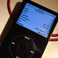 Ipod Apple 60 gb 5 gen con cavo