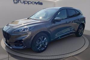 FORD Kuga phev ST-Line X 2wd Automatica